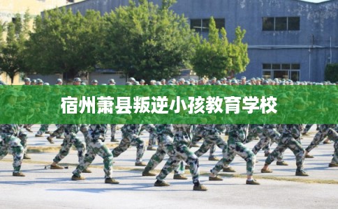 宿州萧县叛逆小孩教育学校