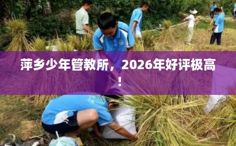 萍乡少年管教所，2026年好评极高！
