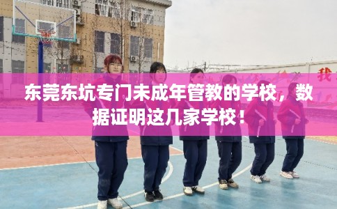 东莞东坑专门未成年管教的学校,数据证明这几家学校! 东莞东坑专门未成年管教的学校,数据证明这几家学校!