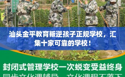 汕头金平教育叛逆孩子正规学校，汇集十家可靠的学校！