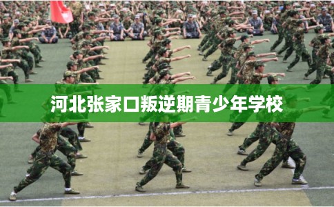 河北张家口叛逆期青少年学校