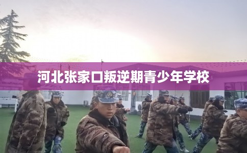 河北张家口叛逆期青少年学校