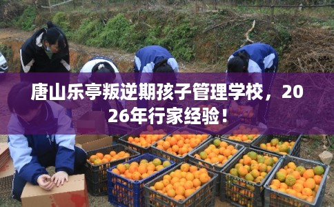 唐山乐亭叛逆期孩子管理学校，2026年行家经验！