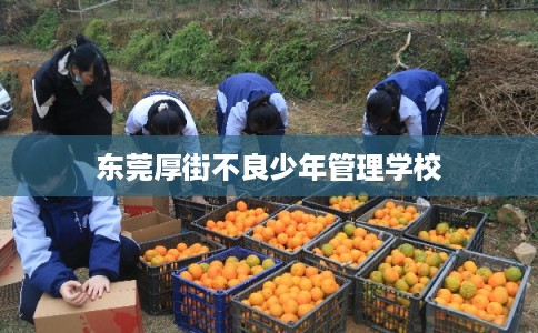 东莞厚街不良少年管理学校 东莞厚街不良少年管理学校