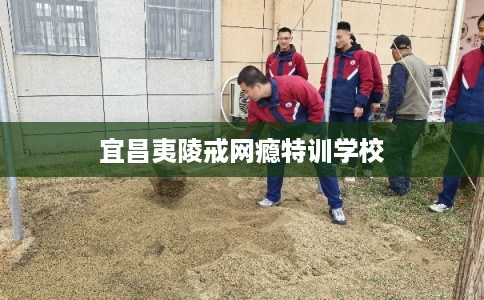 宜昌夷陵戒网瘾特训学校