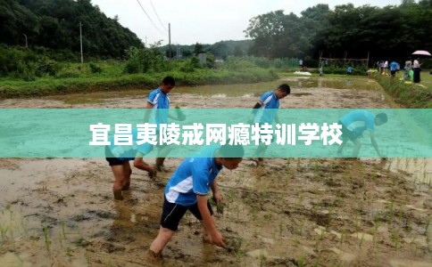 宜昌夷陵戒网瘾特训学校