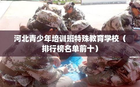 河北青少年培训班特殊教育学校（排行榜名单前十）