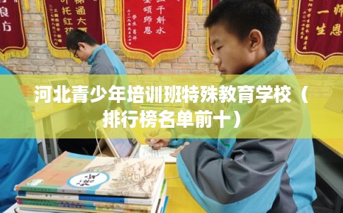 河北青少年培训班特殊教育学校（排行榜名单前十）