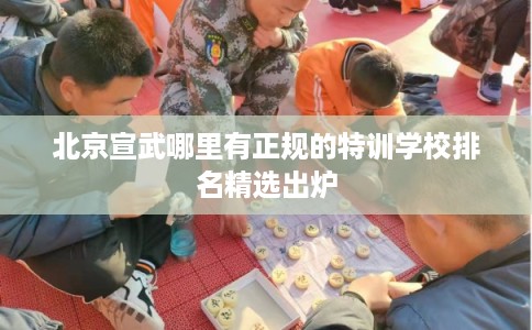 北京宣武哪里有正规的特训学校排名精选出炉
