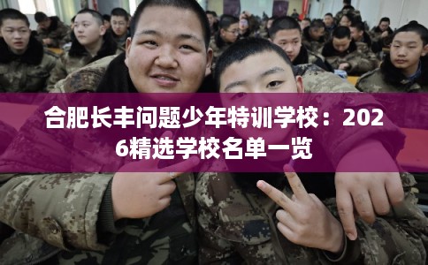 合肥长丰问题少年特训学校：2026精选学校名单一览