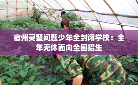 宿州灵璧问题少年全封闭学校：全年无休面向全国招生