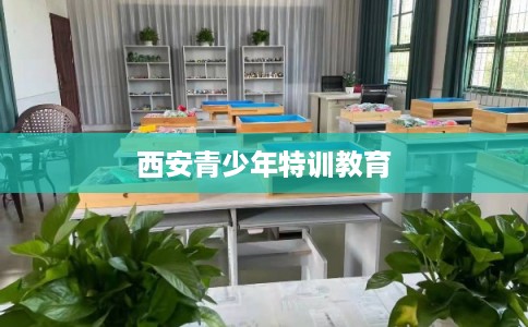 西安青少年特训教育