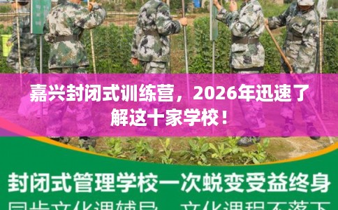 嘉兴封闭式训练营,2026年迅速了解这十家学校! 嘉兴封闭式训练营,2026年迅速了解这十家学校!