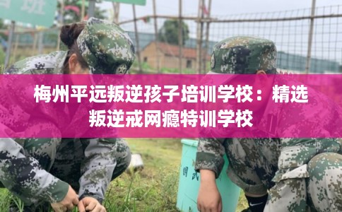 梅州平远叛逆孩子培训学校：精选叛逆戒网瘾特训学校