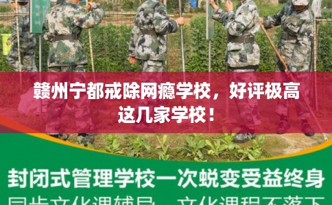 赣州宁都戒除网瘾学校，好评极高这几家学校！