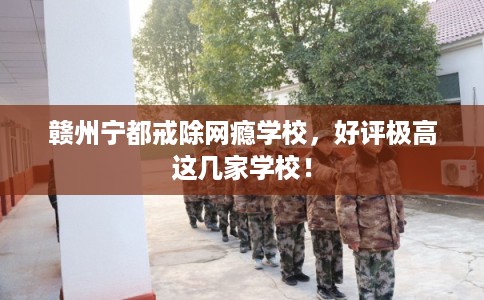 赣州宁都戒除网瘾学校，好评极高这几家学校！