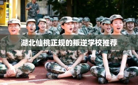 湖北仙桃正规的叛逆学校推荐