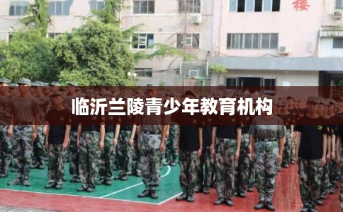 临沂兰陵青少年教育机构 临沂兰陵青少年教育机构