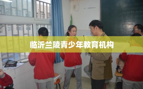临沂兰陵青少年教育机构 临沂兰陵青少年教育机构