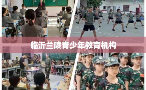 临沂兰陵青少年教育机构