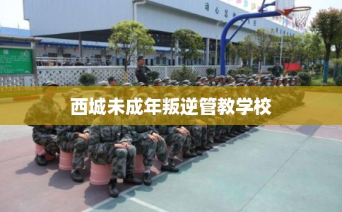 西城未成年叛逆管教学校