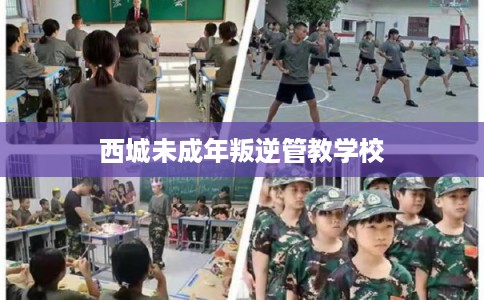 西城未成年叛逆管教学校
