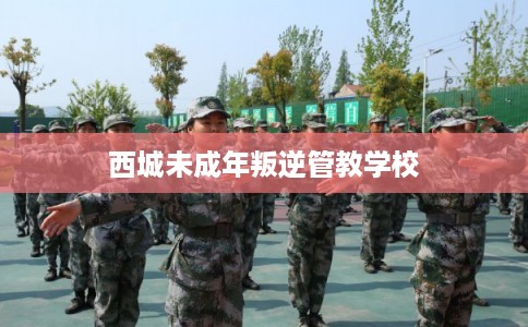 西城未成年叛逆管教学校
