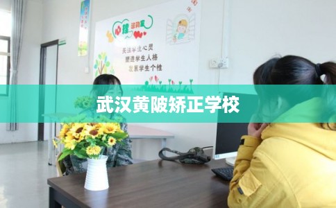 武汉黄陂矫正学校 武汉黄陂矫正学校