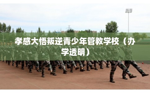 孝感大悟叛逆青少年管教学校(办学透明) 孝感大悟叛逆青少年管教学校(办学透明)
