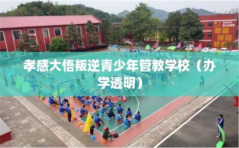 孝感大悟叛逆青少年管教学校(办学透明) 孝感大悟叛逆青少年管教学校(办学透明)