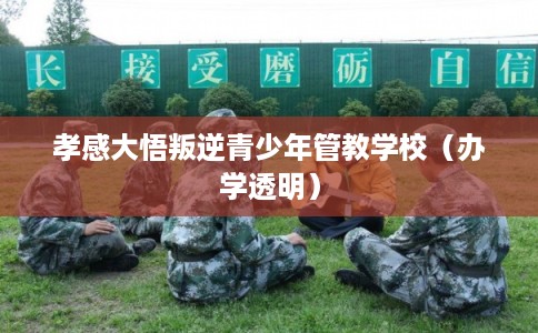 孝感大悟叛逆青少年管教学校（办学透明）