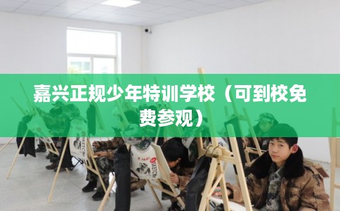 嘉兴正规少年特训学校(可到校免费参观) 嘉兴正规少年特训学校(可到校免费参观)