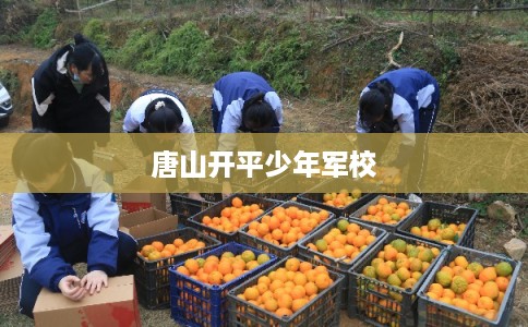 唐山开平少年军校 唐山开平少年军校