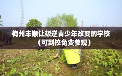 梅州丰顺让叛逆青少年改变的学校（可到校免费参观）
