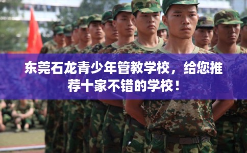 东莞石龙青少年管教学校，给您推荐十家不错的学校！