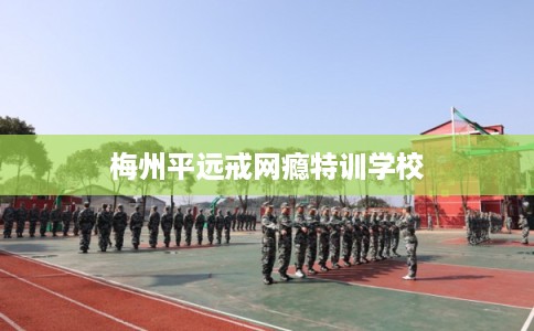 梅州平远戒网瘾特训学校