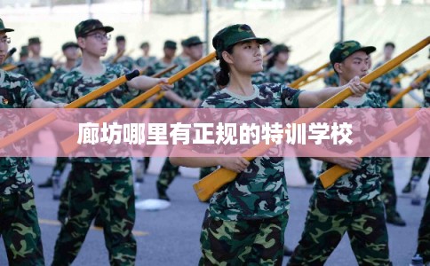 廊坊哪里有正规的特训学校