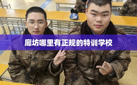 廊坊哪里有正规的特训学校