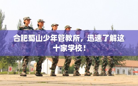 合肥蜀山少年管教所，迅速了解这十家学校！