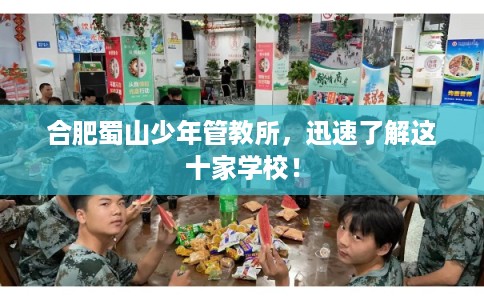合肥蜀山少年管教所，迅速了解这十家学校！