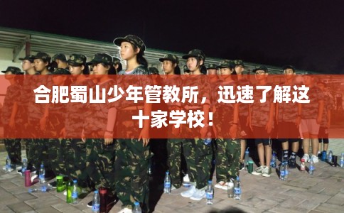 合肥蜀山少年管教所，迅速了解这十家学校！