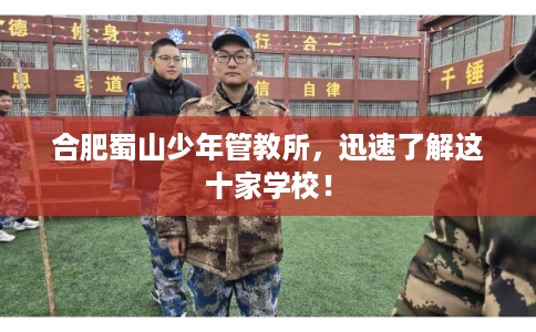 合肥蜀山少年管教所，迅速了解这十家学校！