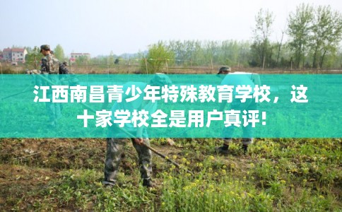 江西南昌青少年特殊教育学校，这十家学校全是用户真评!