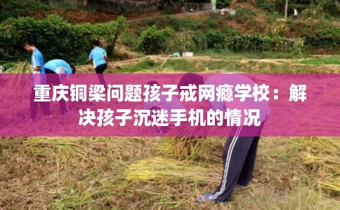 重庆铜梁问题孩子戒网瘾学校：解决孩子沉迷手机的情况