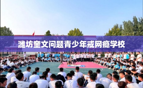 潍坊奎文问题青少年戒网瘾学校 潍坊奎文问题青少年戒网瘾学校