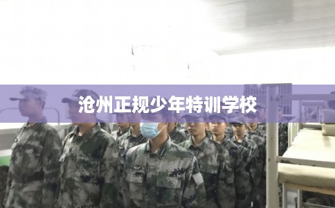 沧州正规少年特训学校
