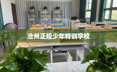 沧州正规少年特训学校