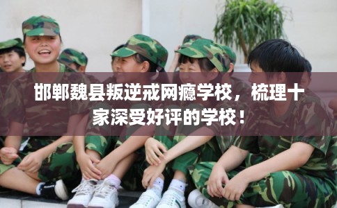 邯郸魏县叛逆戒网瘾学校，梳理十家深受好评的学校！