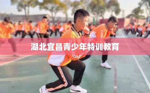 湖北宜昌青少年特训教育