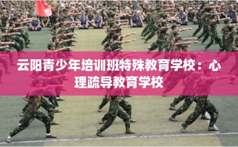云阳青少年培训班特殊教育学校:心理疏导教育学校 云阳青少年培训班特殊教育学校:心理疏导教育学校